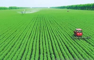 貴州有機蔬菜與生態農業發展前景——以貴州輝煌農業開發為例